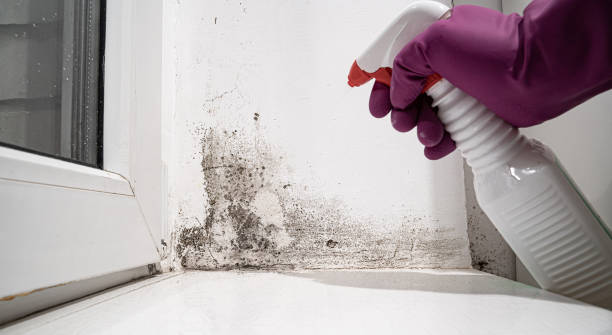 Professional Water damage restoration in Stillwater, MN